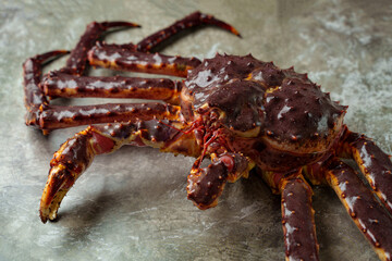 A majestic giant crab rests on a textured gray surface, its colorful shell glistening under soft light