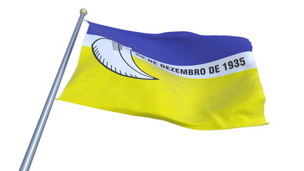 A bandeira de Dourados,  munic&iacute;pio do estado de Mato Grosso do Sul, Brasil - Ilustra&ccedil;&atilde;o 3D