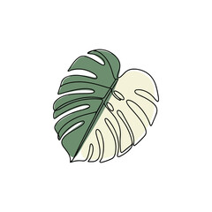Monstera leaf illustration half green and half cream.