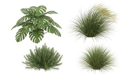 A collection of diverse green plants including monstera and ornamental grass