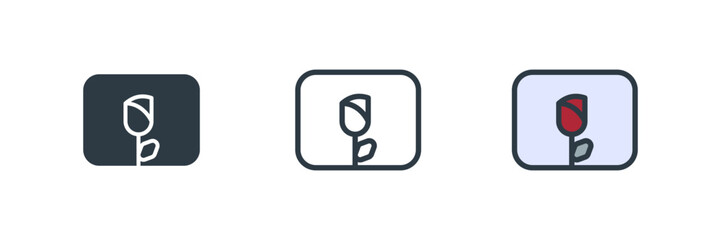 photo icon set vector illustration. line, glyph, color symbol isolated on white background