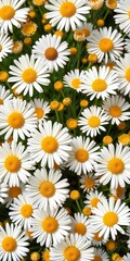 Whimsical daisies in a cheerful pattern, perfect for crafts,  background,  floral pattern