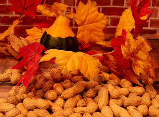 Autumn atmosphere: yellow leaves, peanuts and dwarf pumpkin