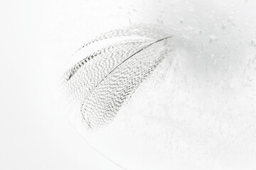 Delikatne piórko zamrożone w lodzie, przedstawione na jasnym, niemal białym tle. Subtelne struktury lodu i drobne pęcherzyki powietrza tworzą minimalistyczną i eteryczną kompozycję.