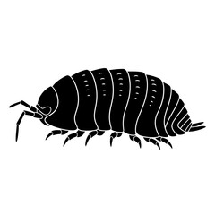 Beetle Silhouette Icon – Insect Bug Minimal Black Vector Illustration
