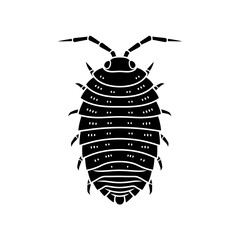 Beetle Silhouette Icon – Insect Bug Minimal Black Vector Illustration