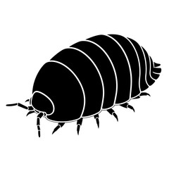Beetle Silhouette Icon – Insect Bug Minimal Black Vector Illustration