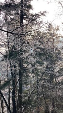 A frosty winter hike to Tomasovsky view, a stunning rock formation offering breathtaking vistas in Slovensky Raj National Park, Slovakia