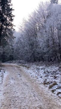 A frosty winter hike to Tomasovsky view, a stunning rock formation offering breathtaking vistas in Slovensky Raj National Park, Slovakia