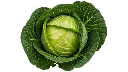 Obraz premium Fresh green cabbage with tightly wrapped leaves and a vibrant center viewed from above against a black background