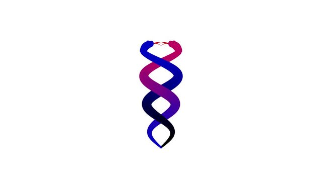 Infinity Snake Spiral Animation (alpha channel)