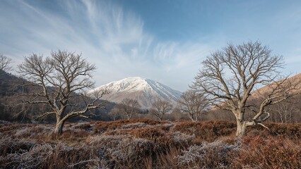 Snow-capped mountain in the background with leafless trees and frosty ground in the foreground.