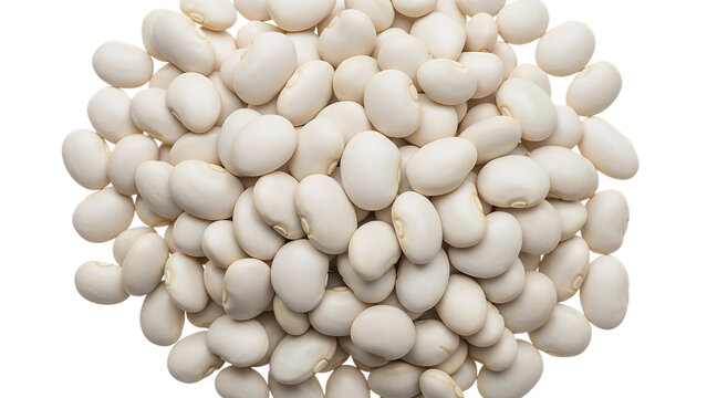 A Pile of White Lima Beans on a Black Background food