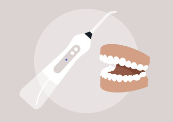 A dental hygienist utilizes an irrigator cleaning tool alongside a detailed jaw model, demonstrating effective dental care practices in a contemporary clinic setting