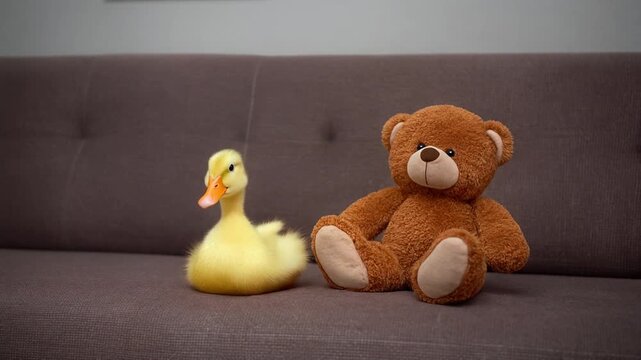 Auf dem Sofa