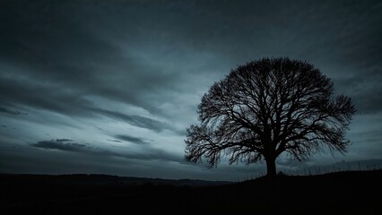 A solitary tree silhouetted against a dark, cloudy sky during dusk or dawn.