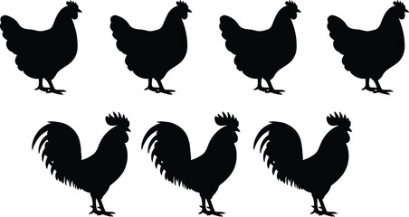 Chicken and rooster silhouette set, poultry farm animals, black vector icons, rural livestock illustration, farming design, isolated bird shapes
