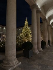 Fototapeta premium christmas tree at night