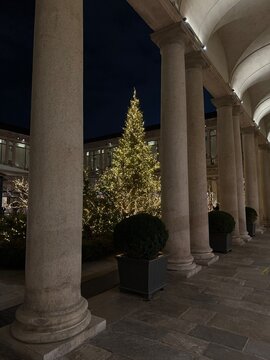 christmas tree at night