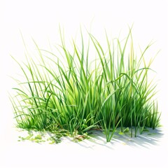 Fototapeta premium Lush green grass patch with delicate leaves in watercolor style