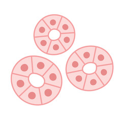 腺細胞のイラスト素材