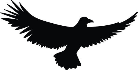 eagle vector illustration