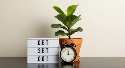 Get Set Go! Alarm Clock and Fiddle Leaf Fig Tree for Motivation