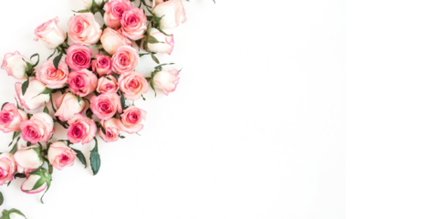 pink flowers background
