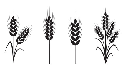 Black silhouettes of wheat stalks and grains set