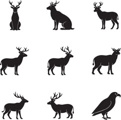 Fototapeta premium Wildlife animals in their natural habitat