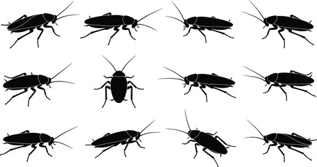 Insect silhouettes, cockroach icons, beetle shape, black vector, bug grid, pest symbol, entomology design, animal pose, illustration