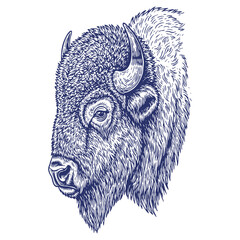 Detailed engraving style portrait of a bison head