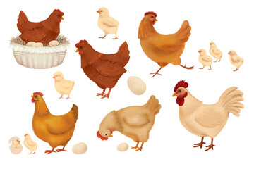 A set of individual watercolour style clip art elements including hens, a rooster, a nest of eggs, whole eggs, and baby chicks on a solid pale background.
