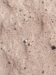 Close-up natural beach sand texture with small pebbles. Capturing detailed fine sand surface scattered with tiny colorful pebbles under soft natural light