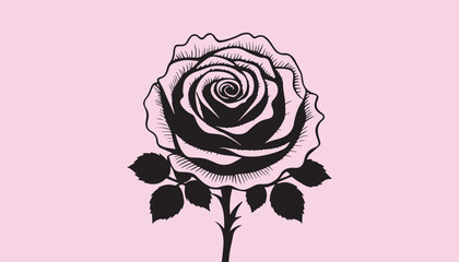 creative rose design using adobe illustrator and vactor ..	