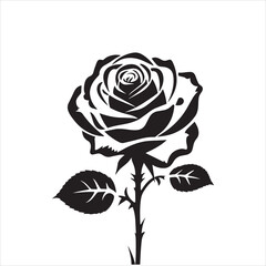 creative rose design using adobe illustrator and vactor..