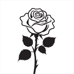 creative rose design using adobe illustrator and vactor..