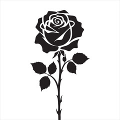 creative rose design using adobe illustrator and vactor..	