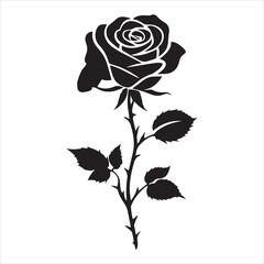 creative rose design using adobe illustrator and vactor..	