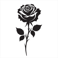 creative rose design using adobe illustrator and vactor..	