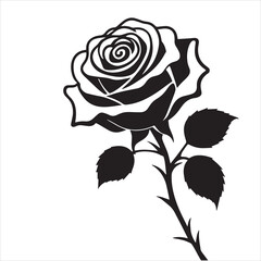 creative rose design using adobe illustrator and vactor..	