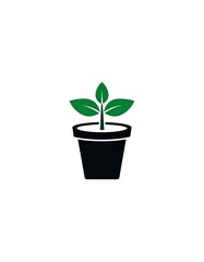 Fototapeta premium Simple plant in pot icon