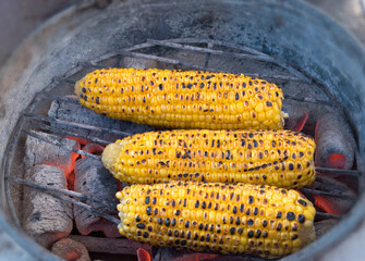 Grilled corn on the cob cooking over hot coals.