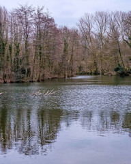 Calm river scene in a wooded area with bare trees during overcast weather in early spring