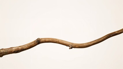 Obraz premium A natural wooden branch or stick isolated on a plain background.