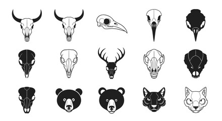 Obraz premium Animal Skull Collection - Diverse Wildlife Skulls.