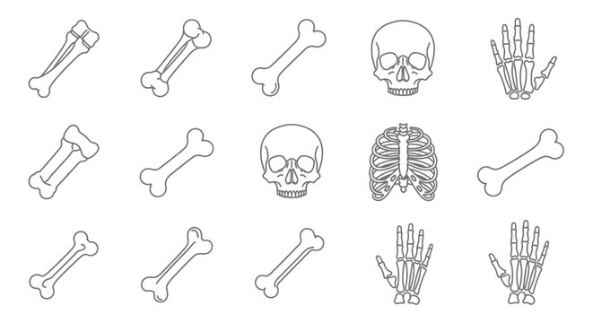 Collection of Skeleton Elements - Bones, Skulls, Ribcage, and Hands.