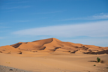 Sahara Desert (Morocco)