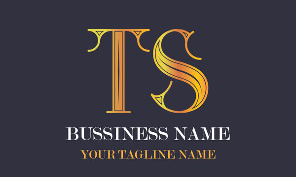 TS T ts initial logo | initial based abstract modern minimal creative logo, vector template image. luxury logotype logo, real estate homie logo. typography logo. initials logo
