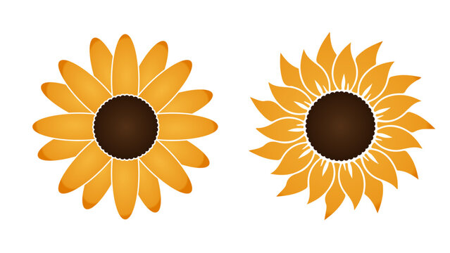 A pair of graphic sunflower illustrations in simple and detailed styles with golden-yellow petals.